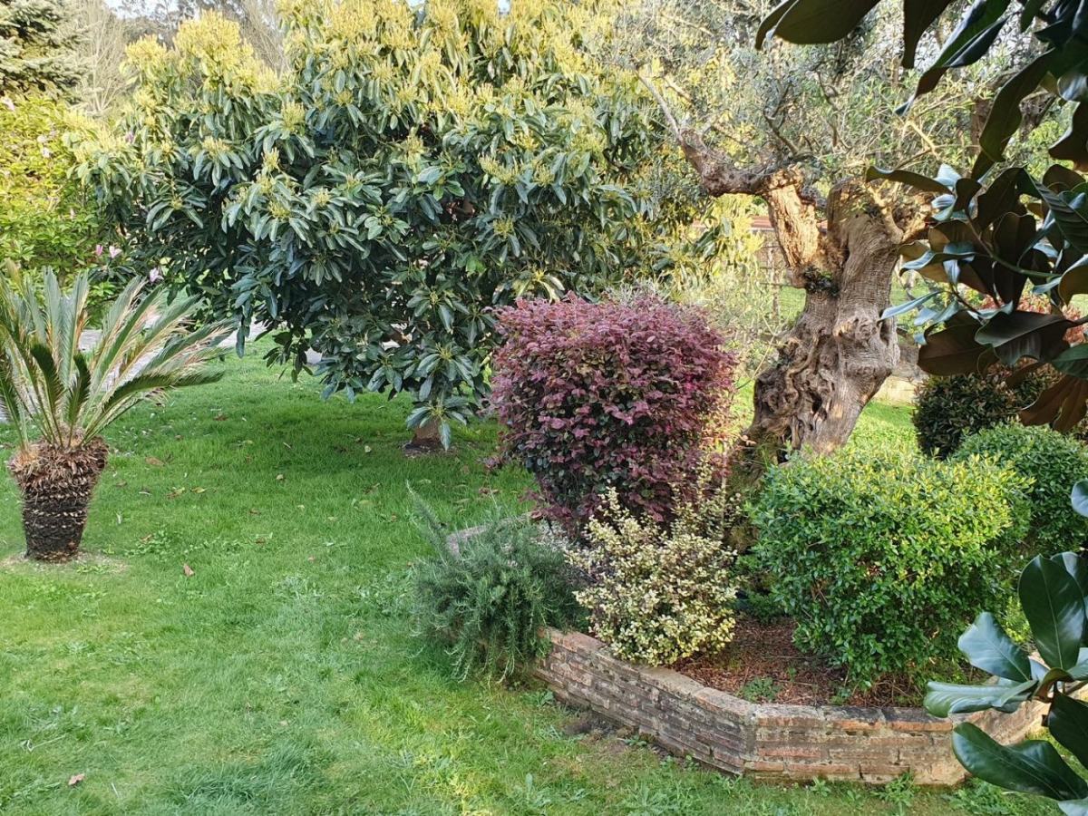 Paisaje de A Guarda y el entorno del Baixo Miño (13)